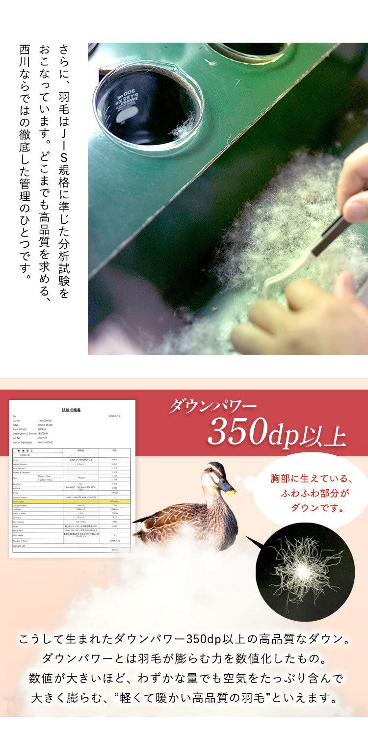 【2枚セット】西川 羽毛布団 ウクライナ産 SDD85% 1.1kg シングルロング 1440-50713 5