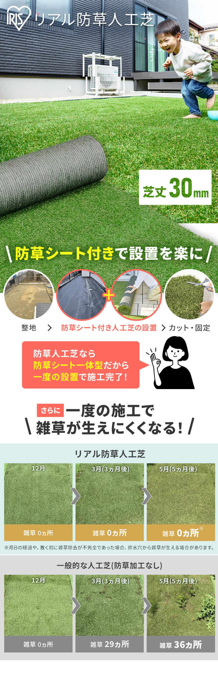 2点セット】人工芝 防草 2m×10m 芝丈30mm リアル質感 ロールタイプ RP