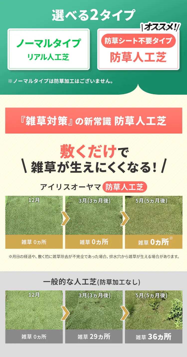 【2点セット】人工芝 防草 2m&times;10m 芝丈30mm  リアル質感 ロールタイプ RP-30210【U字釘96本付き】1