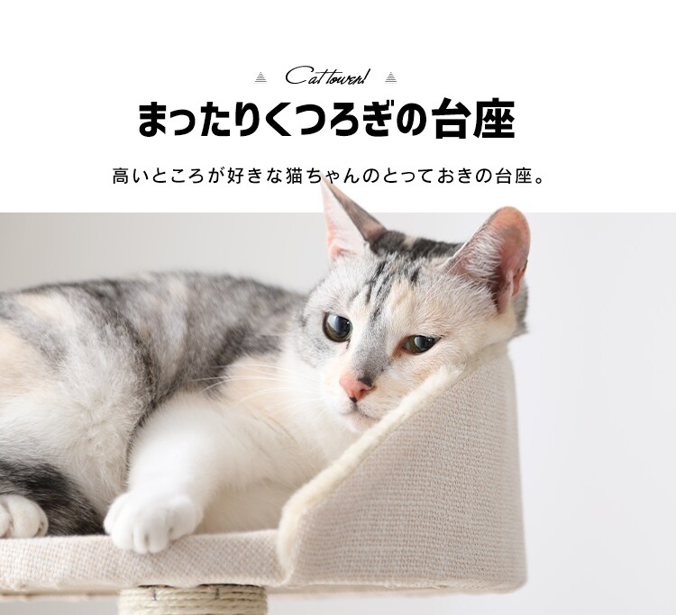 キャットタワー 据え置き ベージュ CCCT-4355S 4