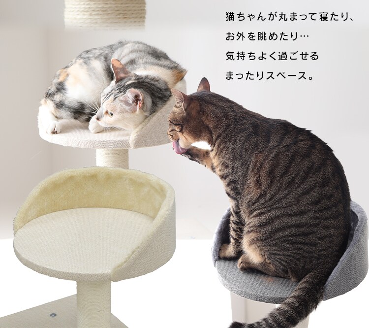 キャットタワー 据え置き ベージュ CCCT-4355S 5