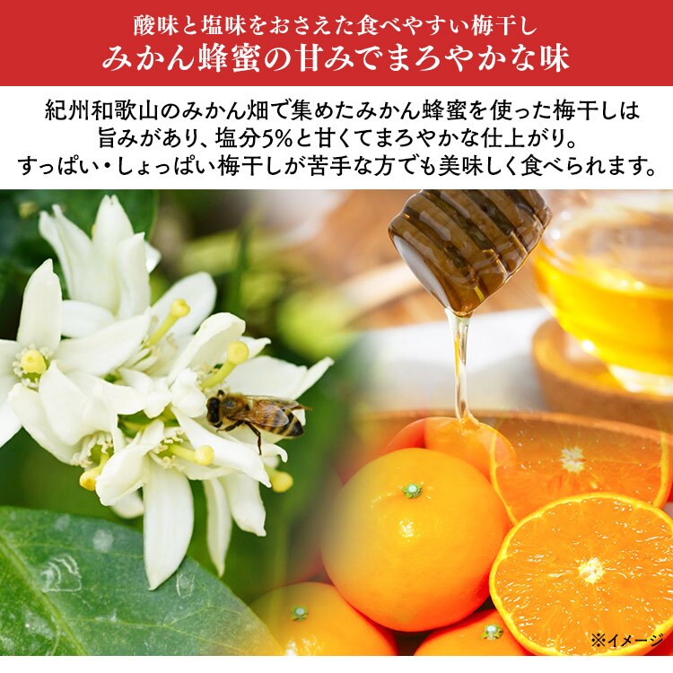 【2個】紀州南高梅 はちみつ入りはねだし梅 塩分約5％ 800g（400g&times;2） 1