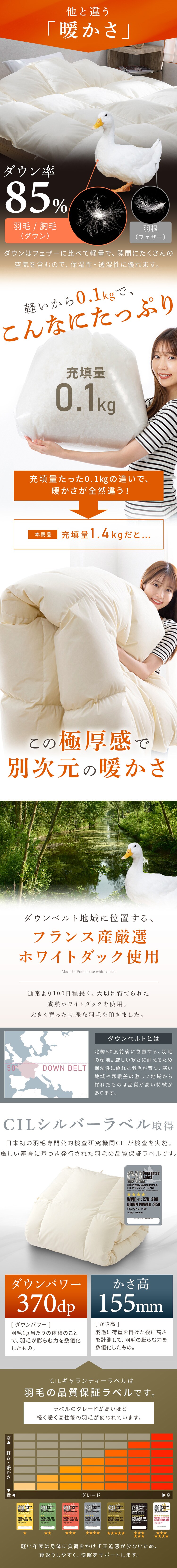 羽毛布団 ダブル フランス産ホワイトダックダウン85% 1.4kg 無地 ベージュ【直送】 1