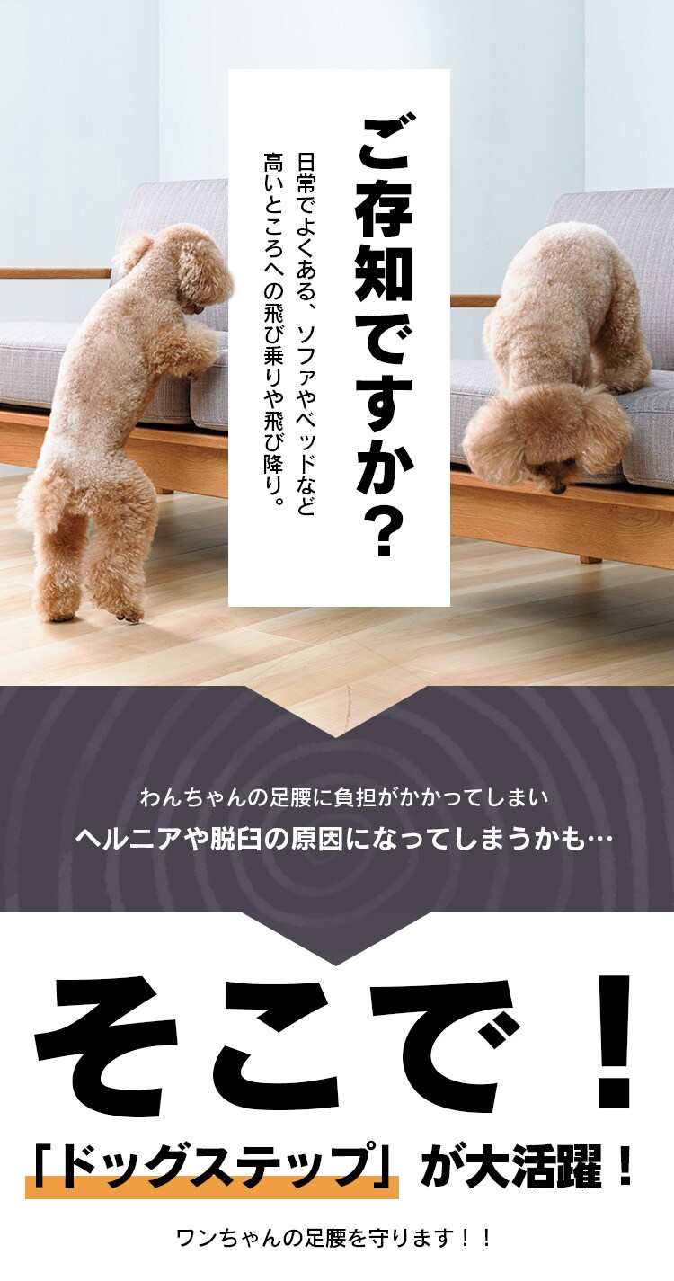 ペット用スロープ ドッグステップ ブラウン1