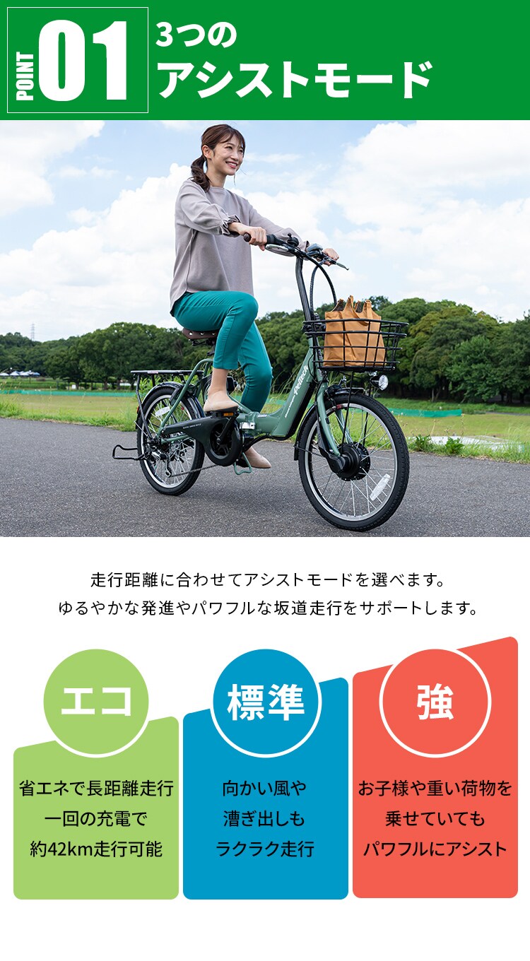 PELTECH 電動自転車 折り畳み 20インチ 外装6段変速  TDN-212LｰKH マットカーキ【直送】【簡易組立必要品】【時間指定不可】【代引き不可】3