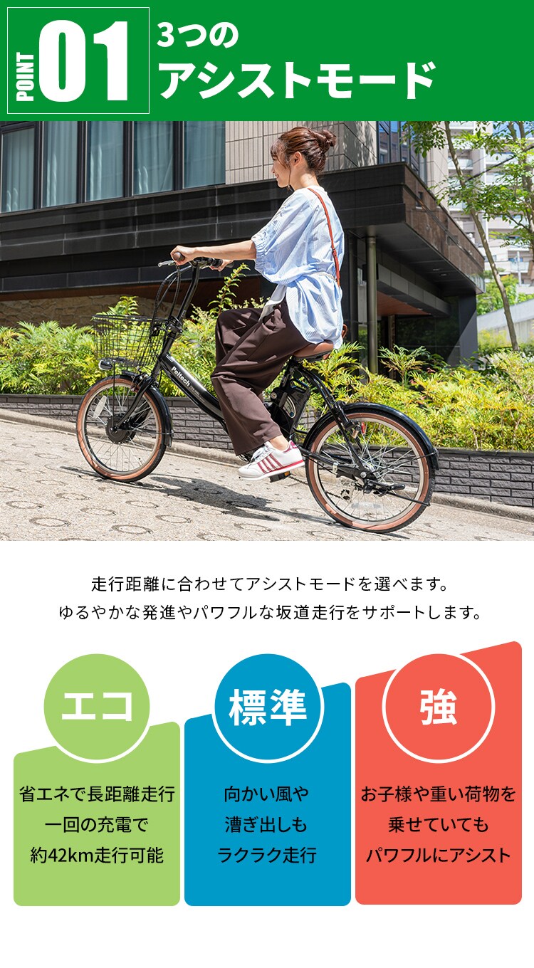 電動自転車 折り畳み 20インチ 6段 8AH TDN-206XｰNYB マットブルー 【直送】【時間指定不可】【代引き不可】3