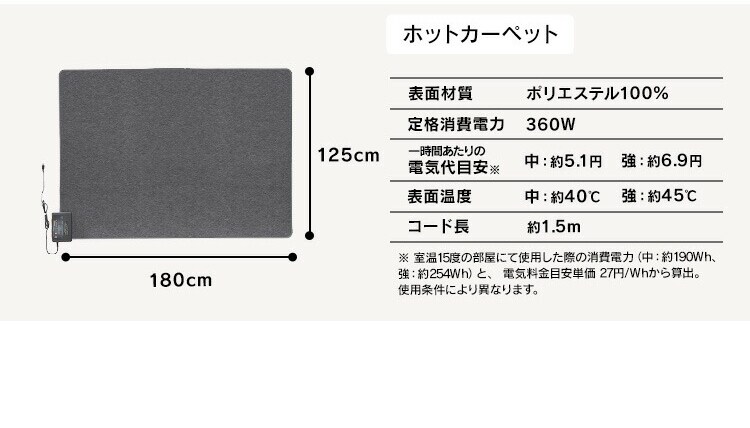 ホットカーペット+シャギーラグ 130&times;185cm SGR-1318 全4色10