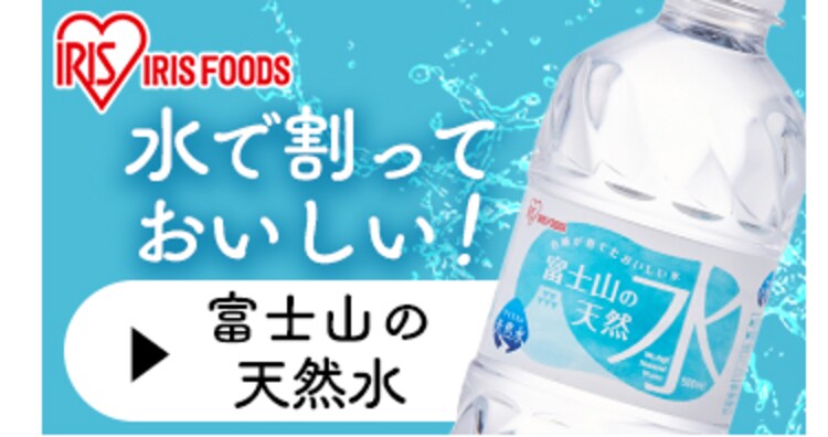 純りんご酢 内堀醸造 500ml 10