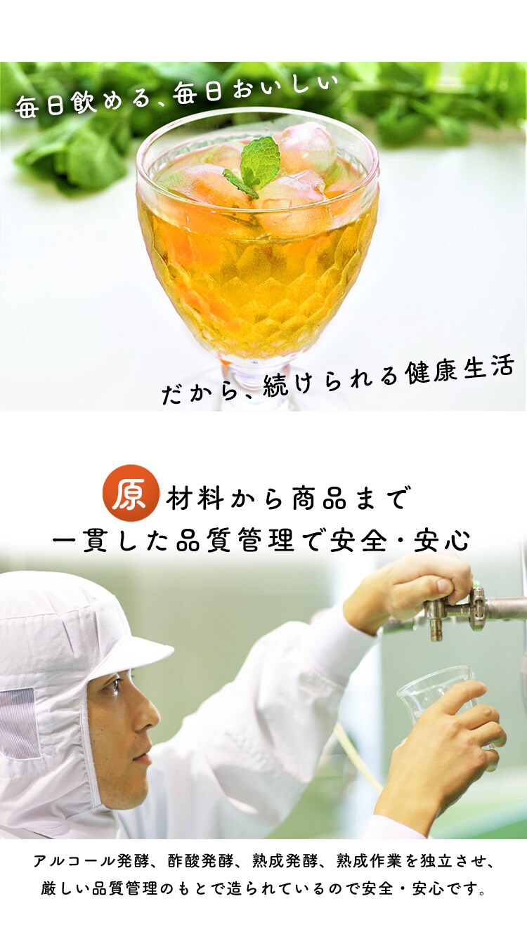 【2本セット】フルーツビネガー360ml FV-155A 3