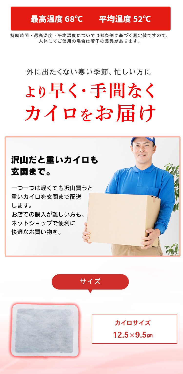 【120枚】 カイロ 貼れない レギュラーサイズ2
