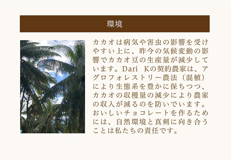 Dari K カカオサンドクッキー 6枚入り ダーク【代引き不可】5