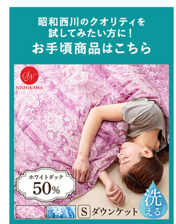 昭和西川 ダウンケット WDD50%レーヨン FF2208P 全2色9
