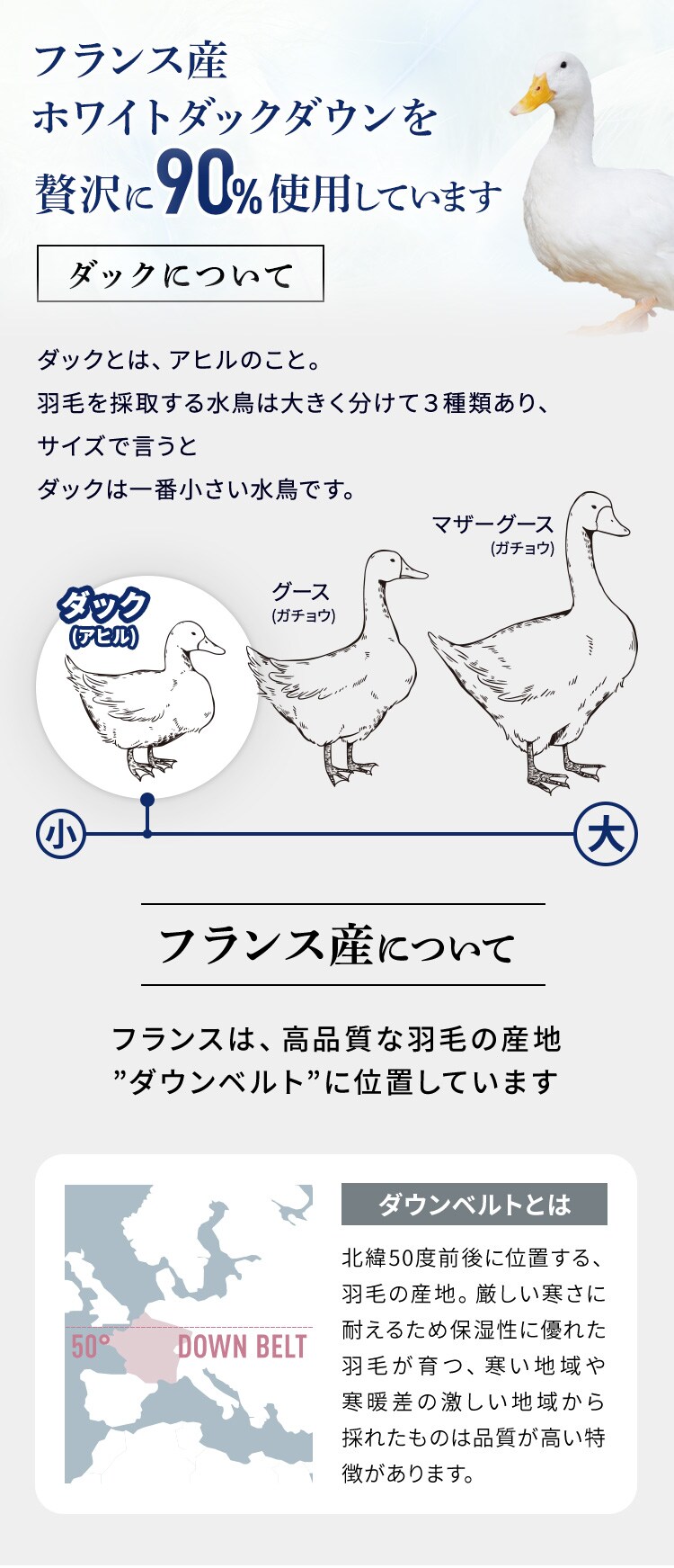 掛け布団 シングル 羽毛 WDD90% ピンク 昭和西川4