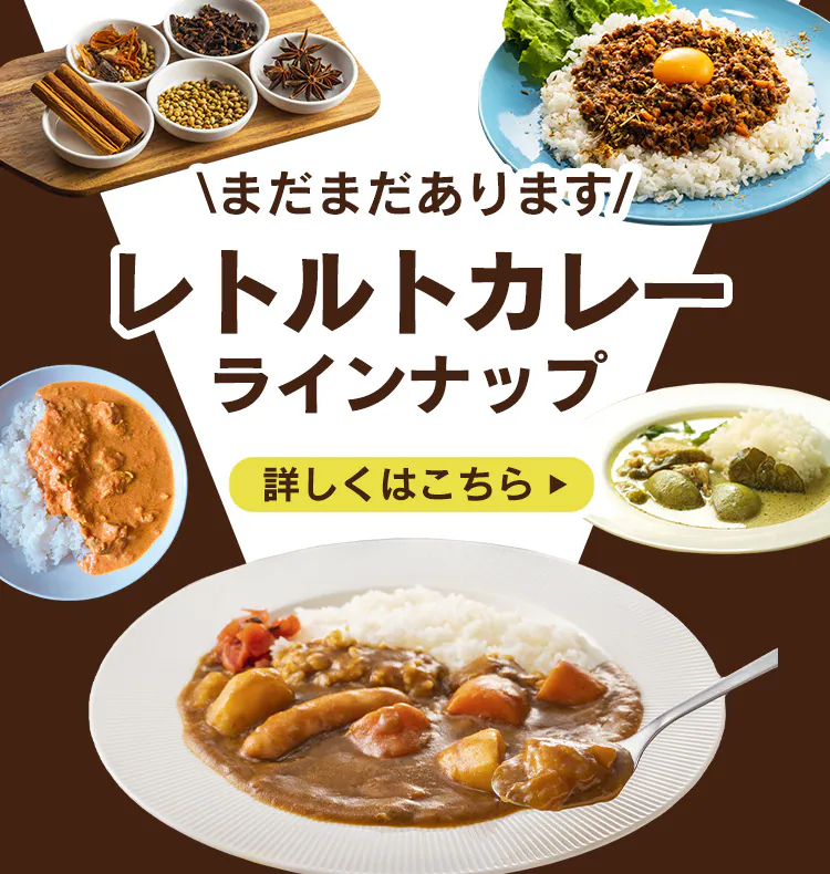 【120g×同種5個】新宿中村屋 プチカレー ビーフマイルド12