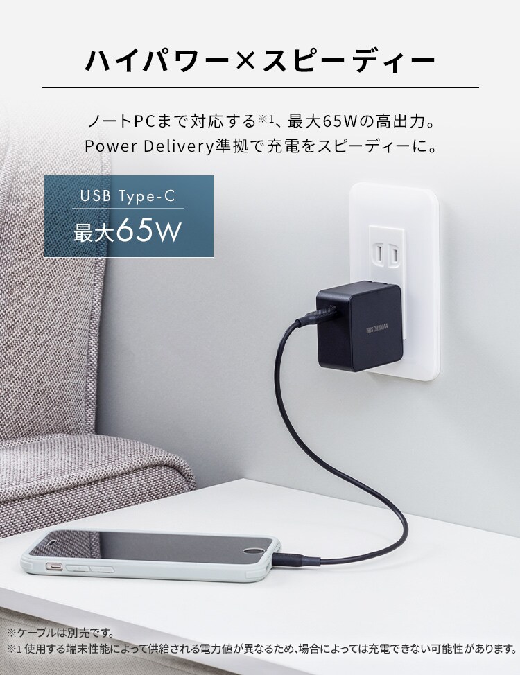 充電器 USB 高出力 IQC-C651 ブラック (Type-C) 7248622│アイリス