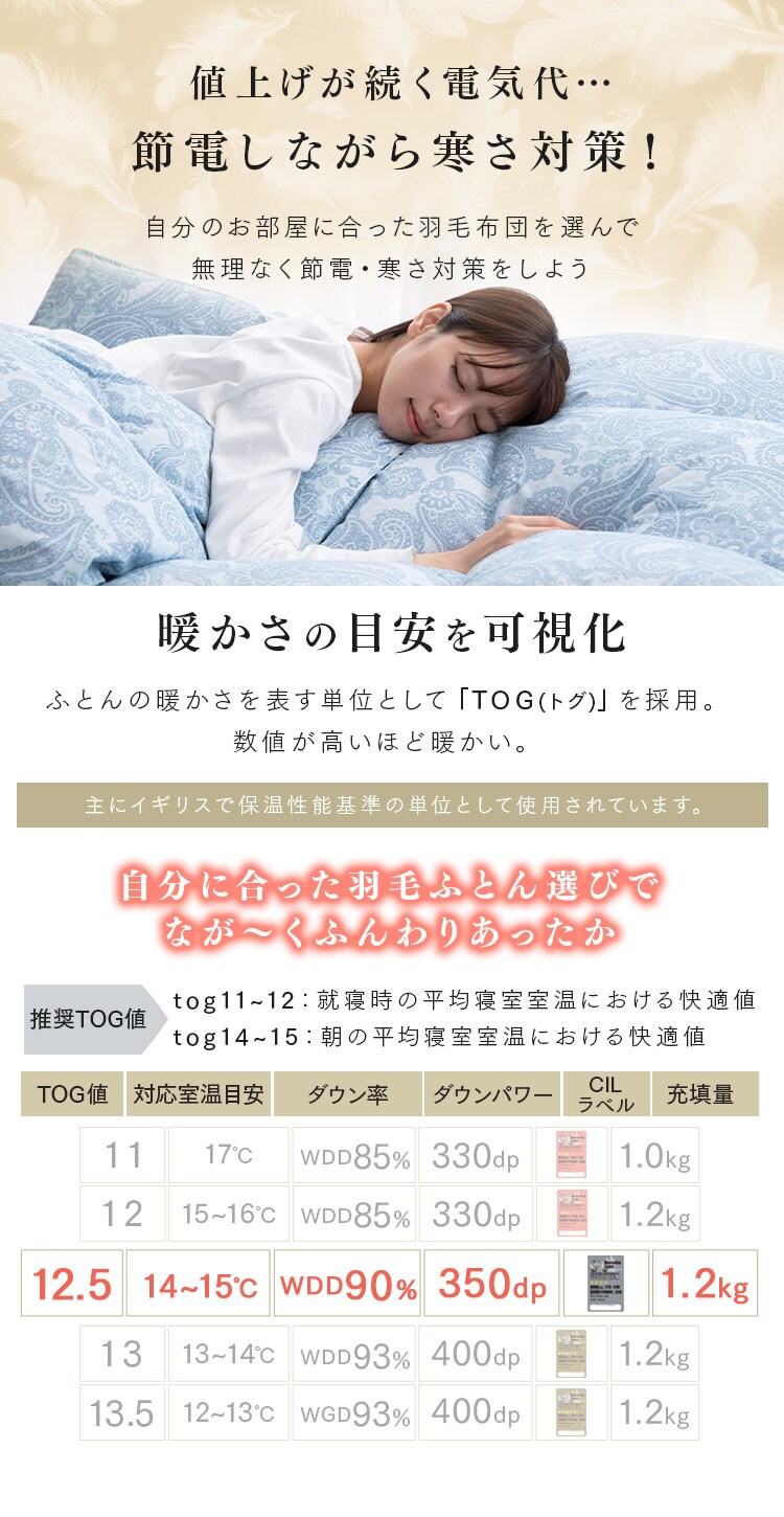 羽毛布団  WDD90% 1.2kg セミダブルロング3