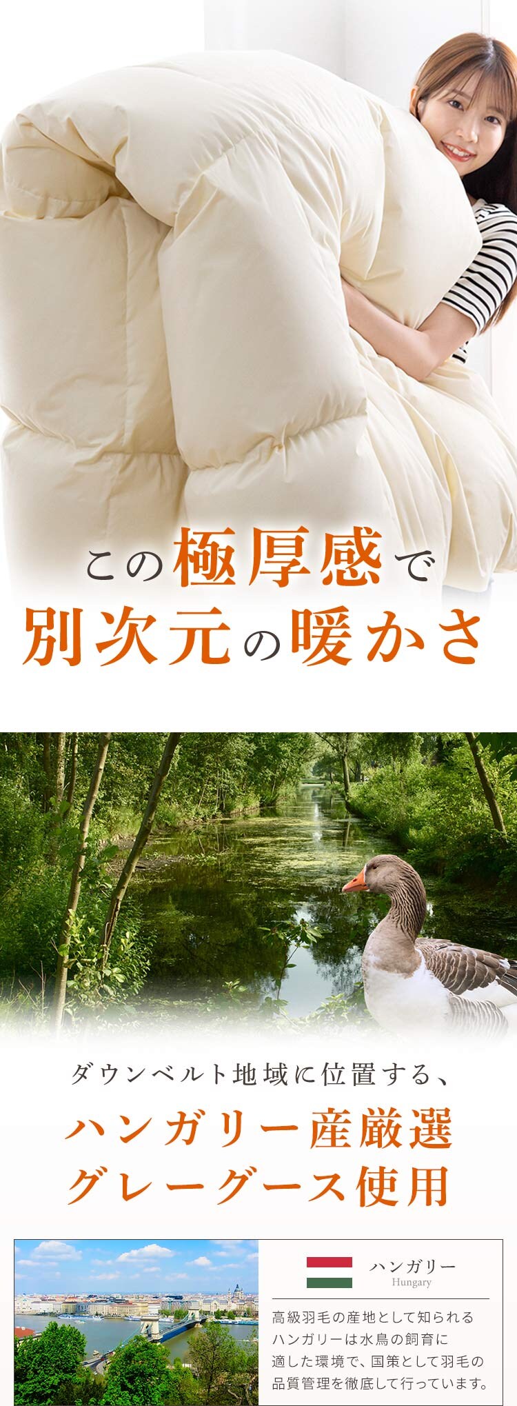 羽毛布団 シングル ハンガリー産 GGD93% 400dp 1.0kg ベージュ 【直送】 【代引き不可】4