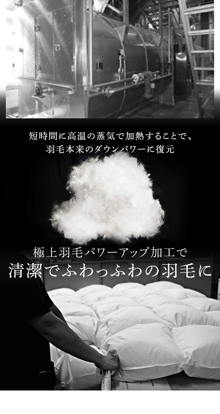 羽毛布団 2枚合わせ WDD50%・85% 0.5kg/1.1kg ダブルロング ベージュ 【直送】 【代引き不可】7