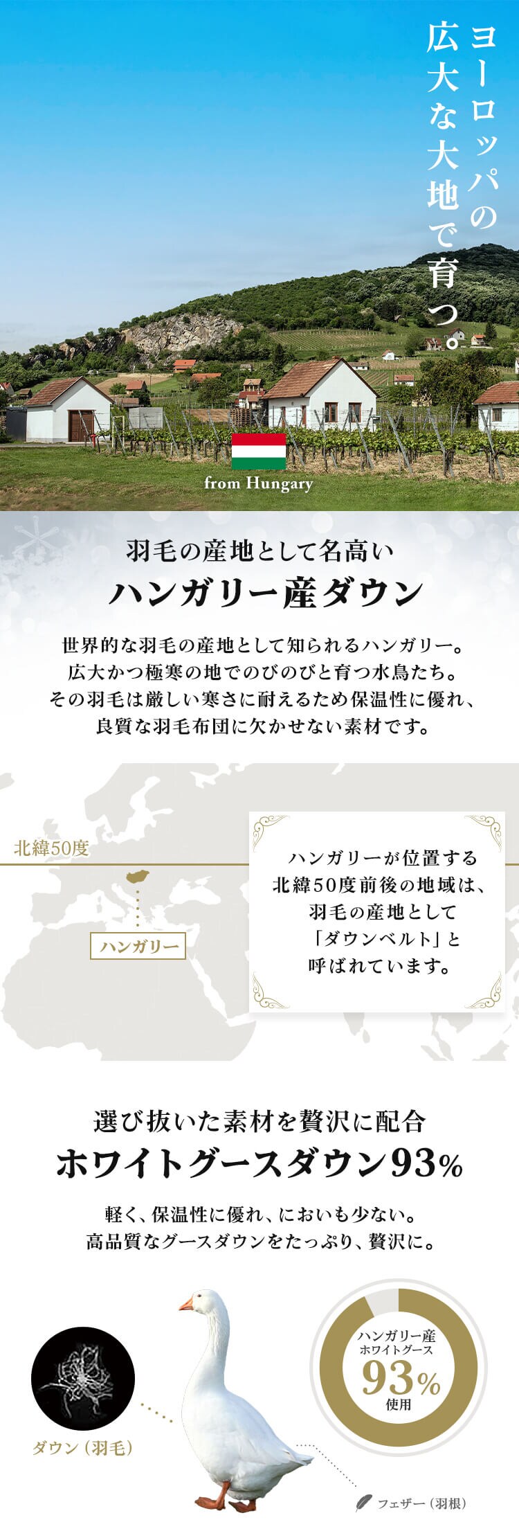 昭和西川 羽毛掛けふとん ハンガリーWGD93％ サテン1