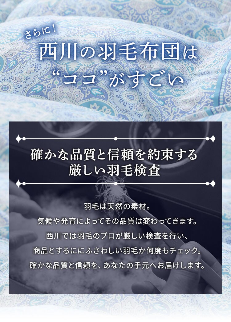 西川 WDD85% シングルロング ライズブルー4