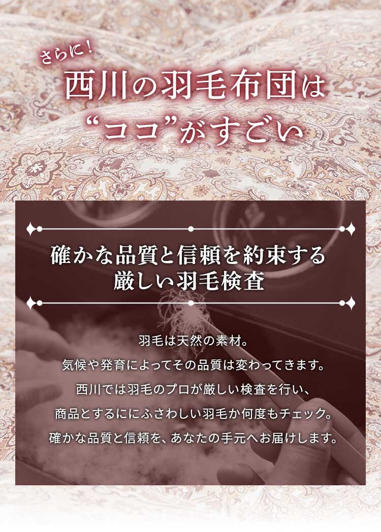 西川 WDD90% シングルロング ルイーザベージュ4