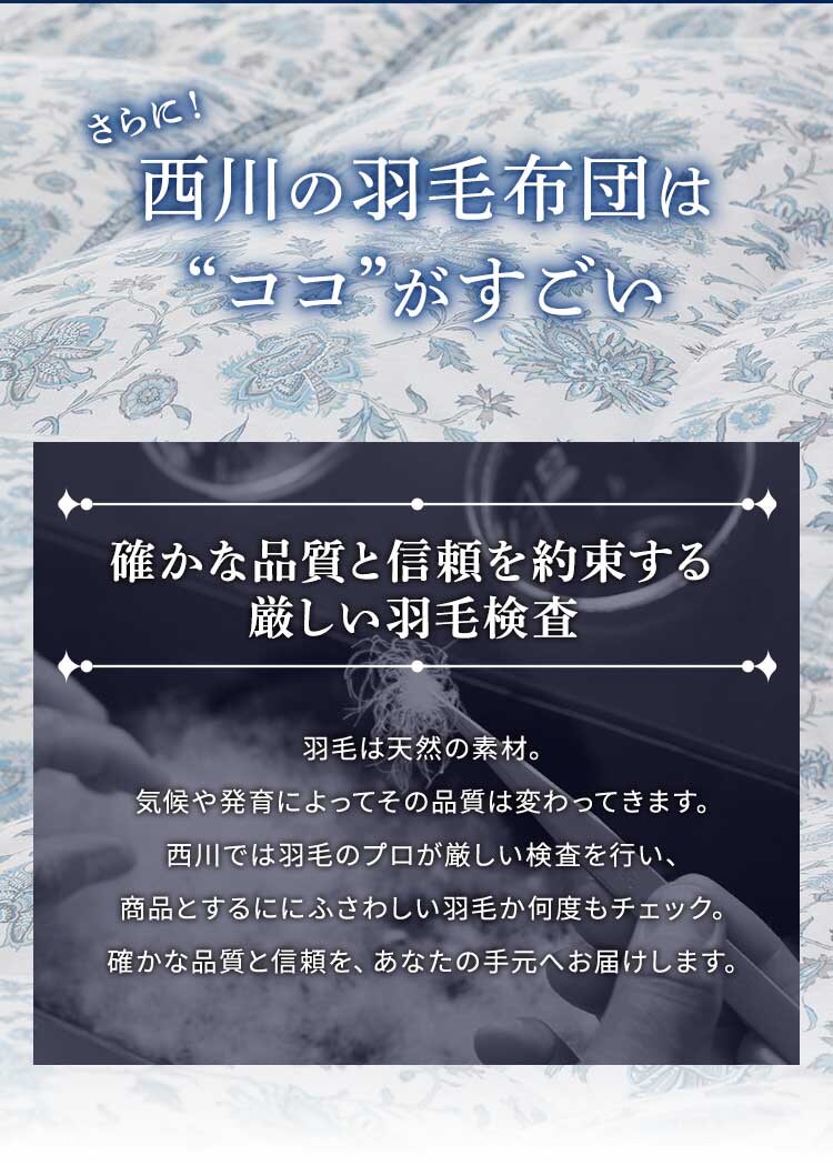 西川 羽毛布団 WDD93% 1.2kg シングルロング エスタブルー KA02004003A204