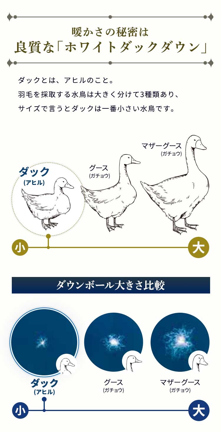 西川 WDD93% ダブルロング エスタベージュ3