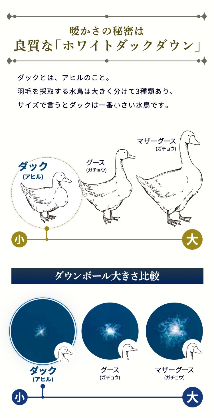 西川 WDD90% サテン ダブルロング サリレッド KA220030591603