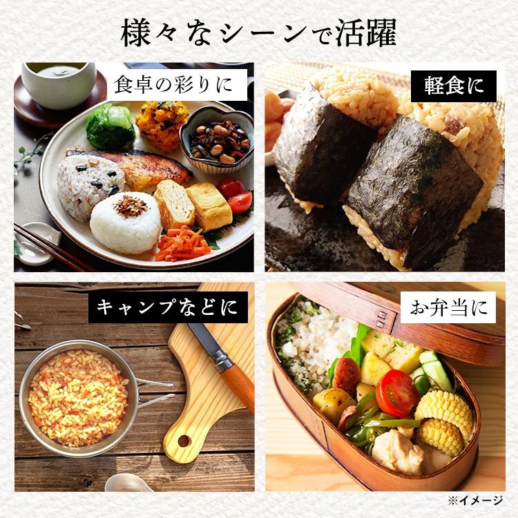 【10個】九州かしわめし 1