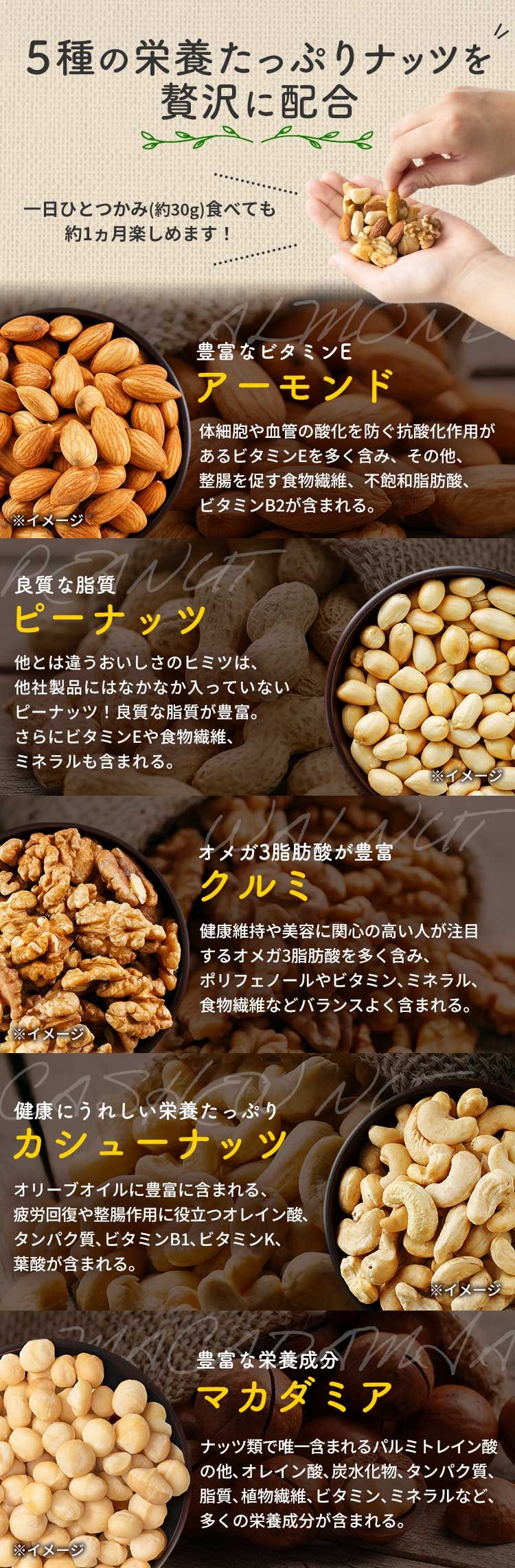 ミックスナッツ 5種 無塩 850g【時間指定不可】2
