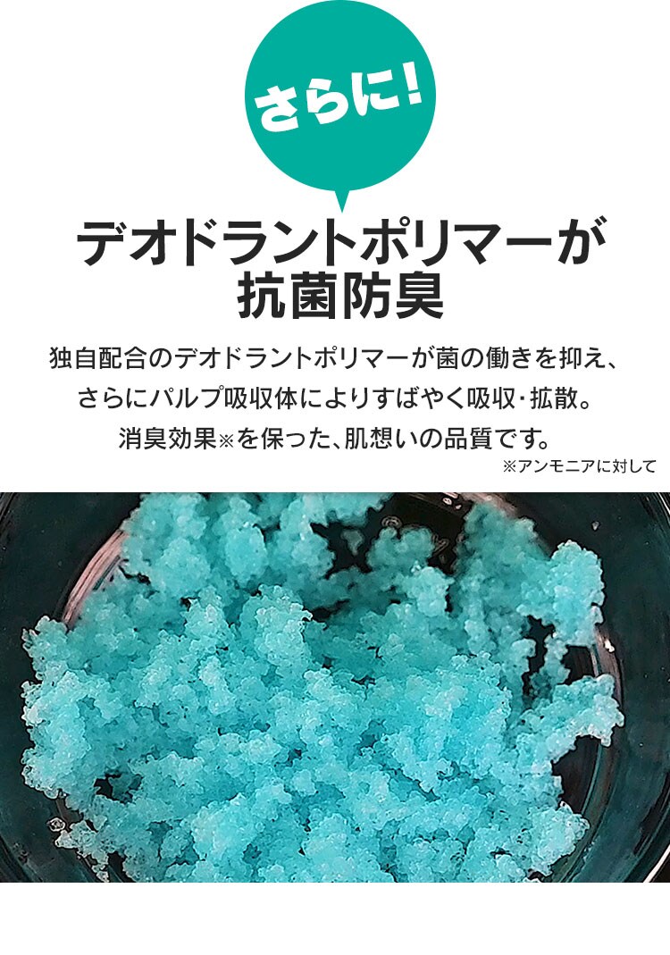 【4個セット】大人用おむつパンツスリム Sサイズ 26枚入5