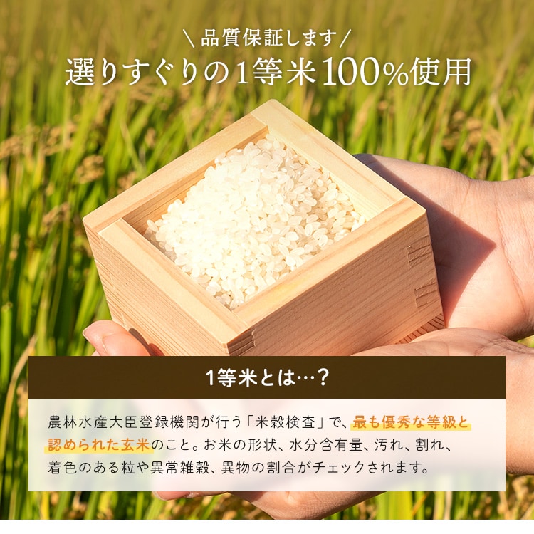 10kg】令和7年産 宮城県産 ひとめぼれ 5kg×2 【時間指定不可】【代引き