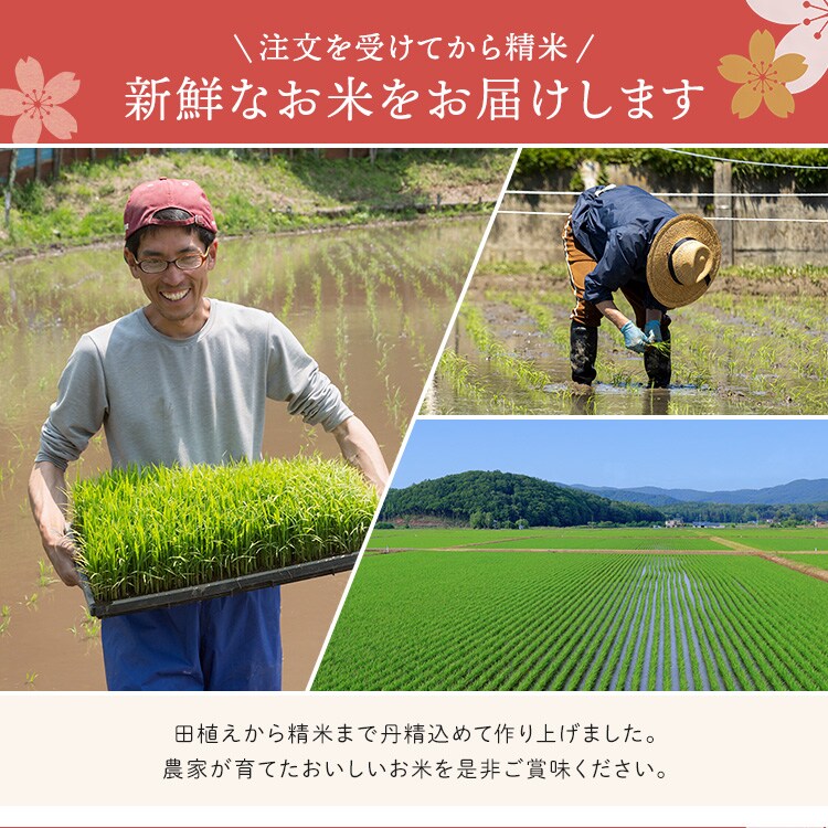 【30kg】令和7年産 宮城県産ひとめぼれ 5kg&times;6袋【時間指定不可】【代引き不可】2