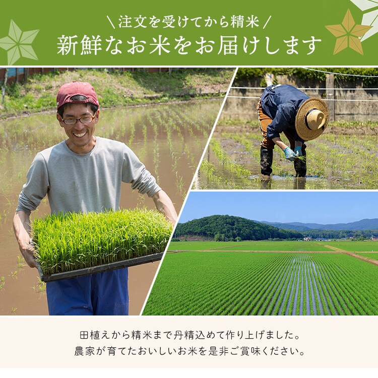 【10kg】令和7年産 宮城県産 ササニシキ 5kg&times;2  【時間指定不可】【代引き不可】2