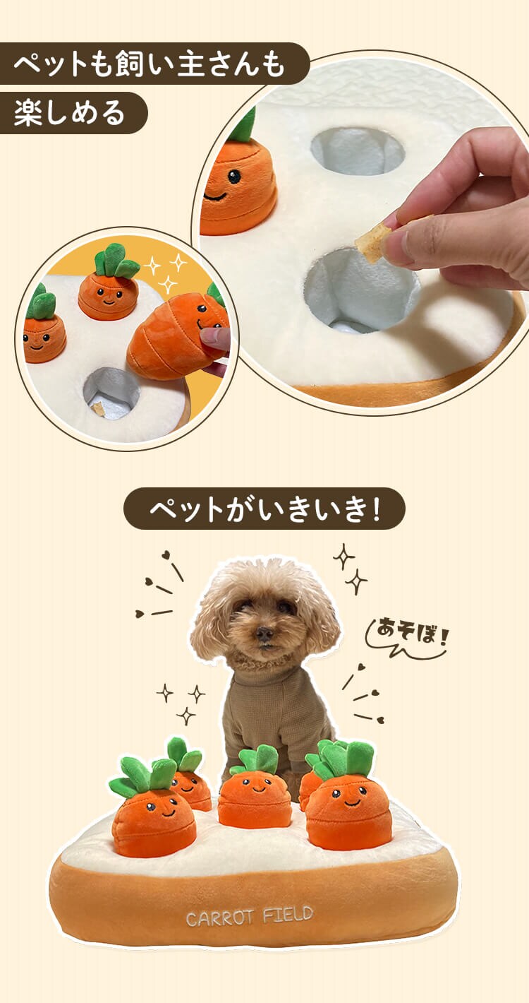 ノーズワーク わんパク！にんじん畑1