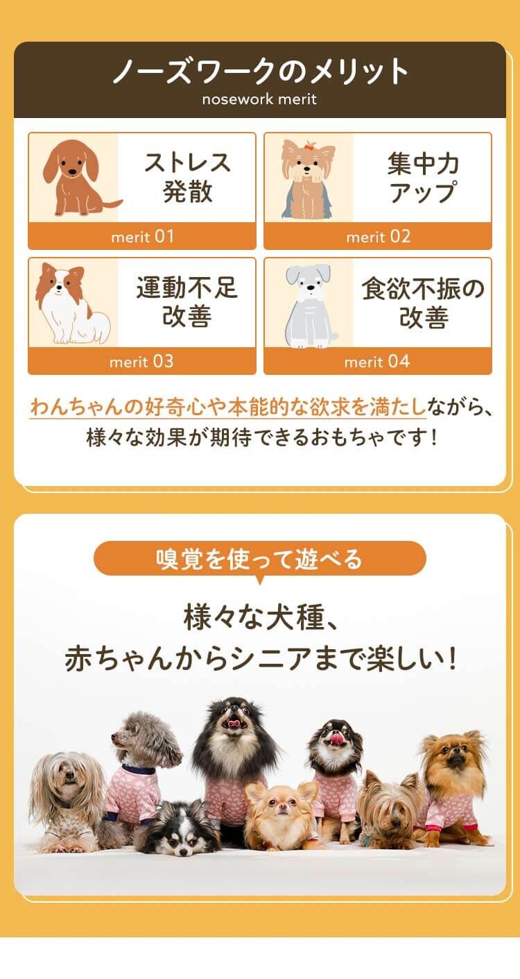 ノーズワーク わんパク！にんじん畑2