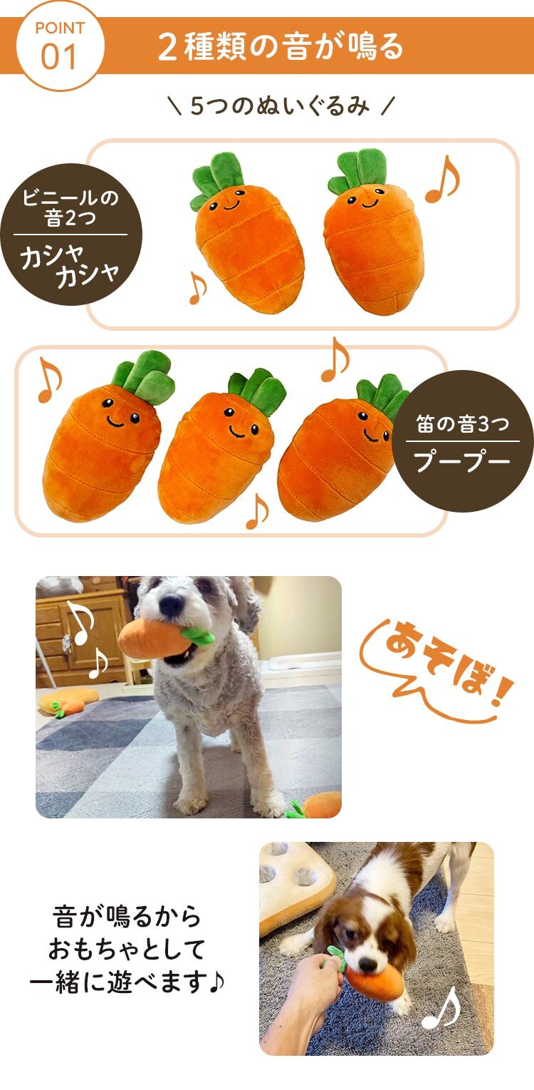 ノーズワーク わんパク！にんじん畑3