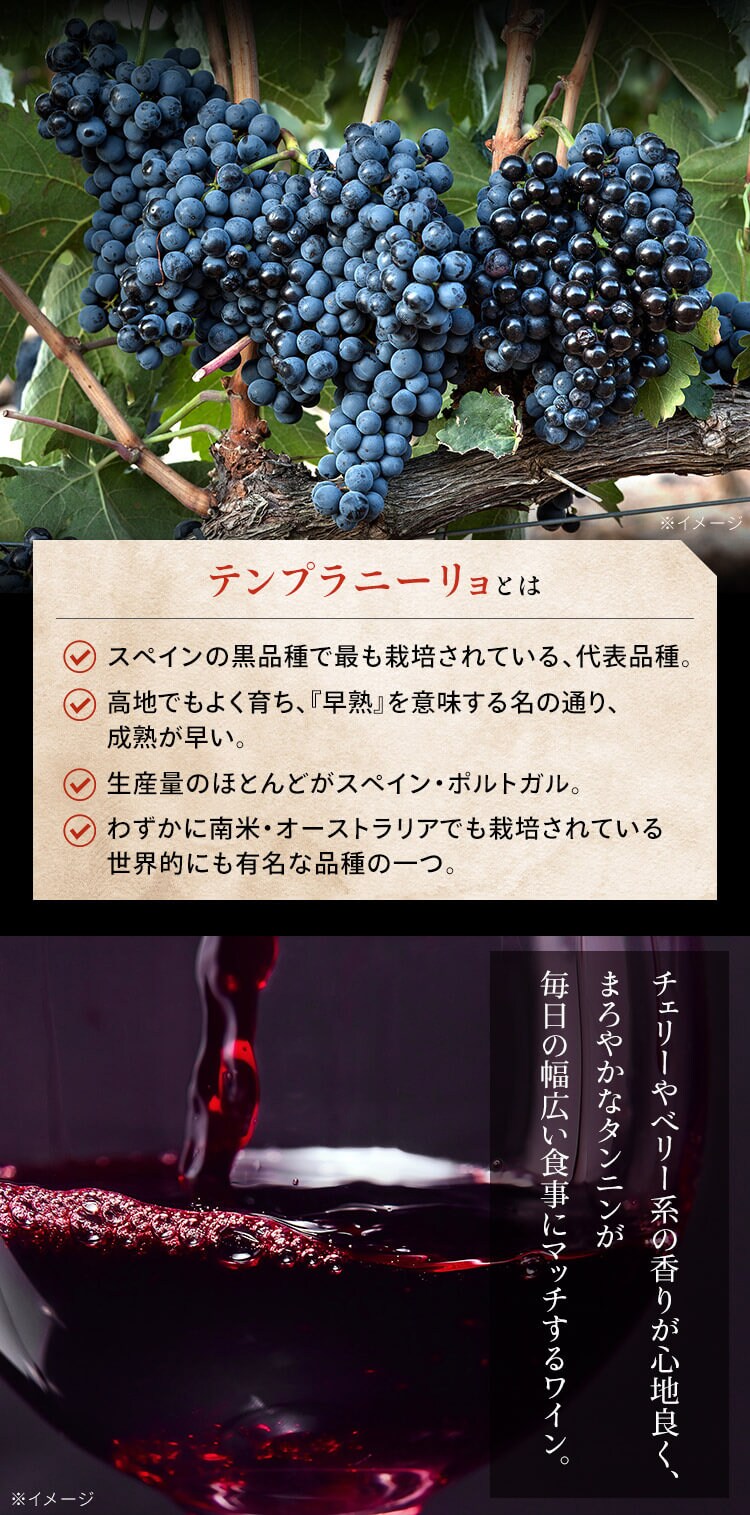 【2個セット】 赤ワイン スペイン産 Brvilio 3000ml テンプラリーニョ1