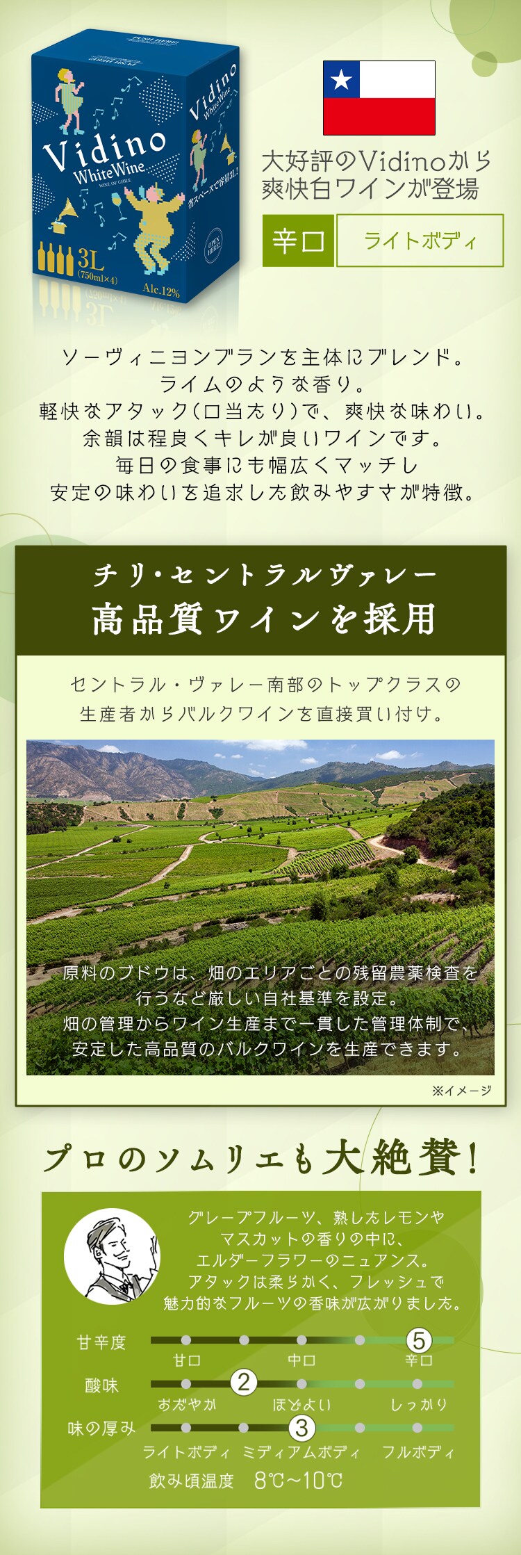 白ワイン スペイン産 Brvilio 3000ml アイレン1