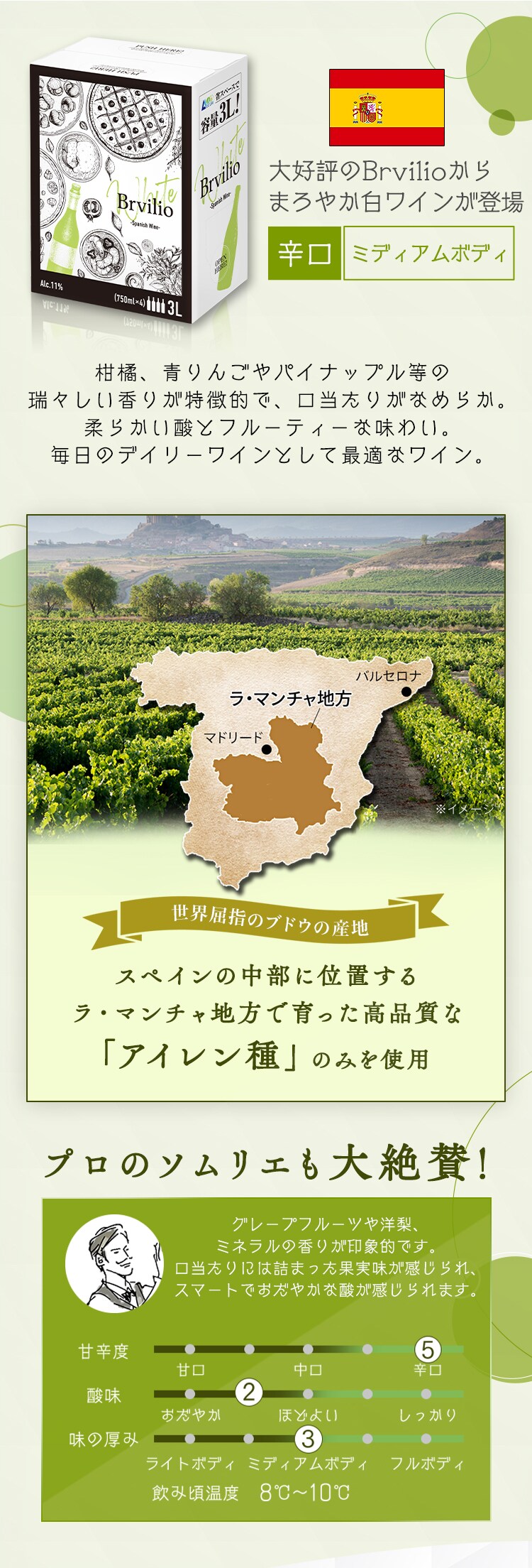白ワイン スペイン産 Brvilio 3000ml アイレン2