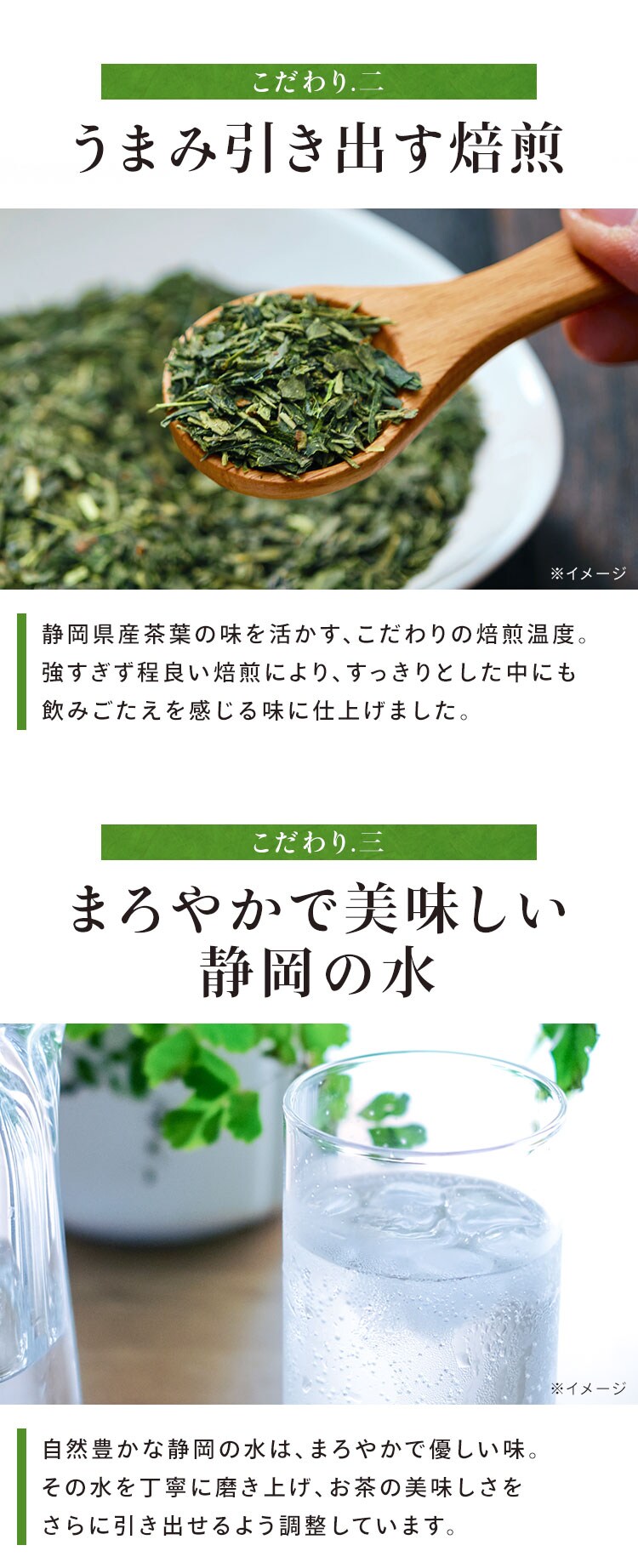ミツウロコ 静岡茶 500ml【代引き不可】2