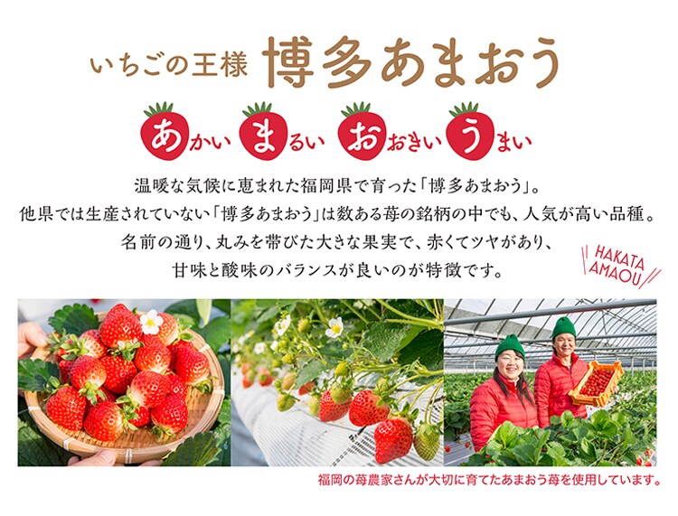 博多あまおう たっぷり苺のアイス 6個【代引き不可】2