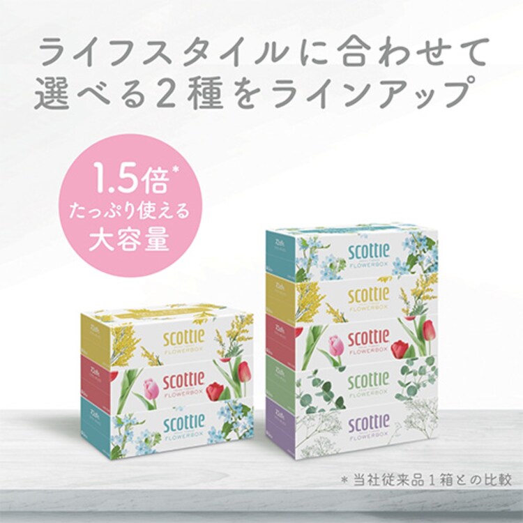 【3箱】 スコッティ ティッシュ 500枚 (250組) 3箱 日本製紙クレシア7