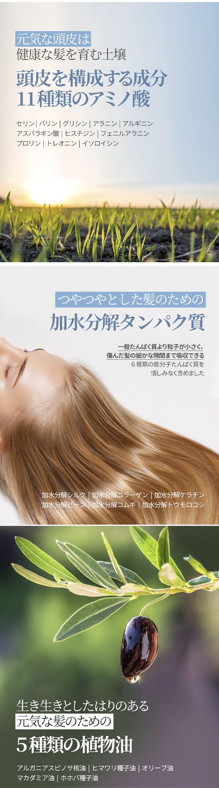 Bouquet Garni  ブーケガルニ シャンプー+トリートメント+ボディシャワー ピンクグレープフルーツの香り 各500ml 3