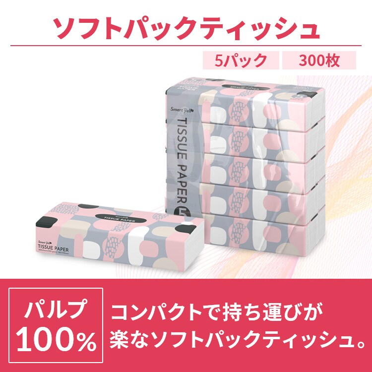 必需消耗品セット(トイレットペーパーシングル12ロール+ティッシュ10パック)  2
