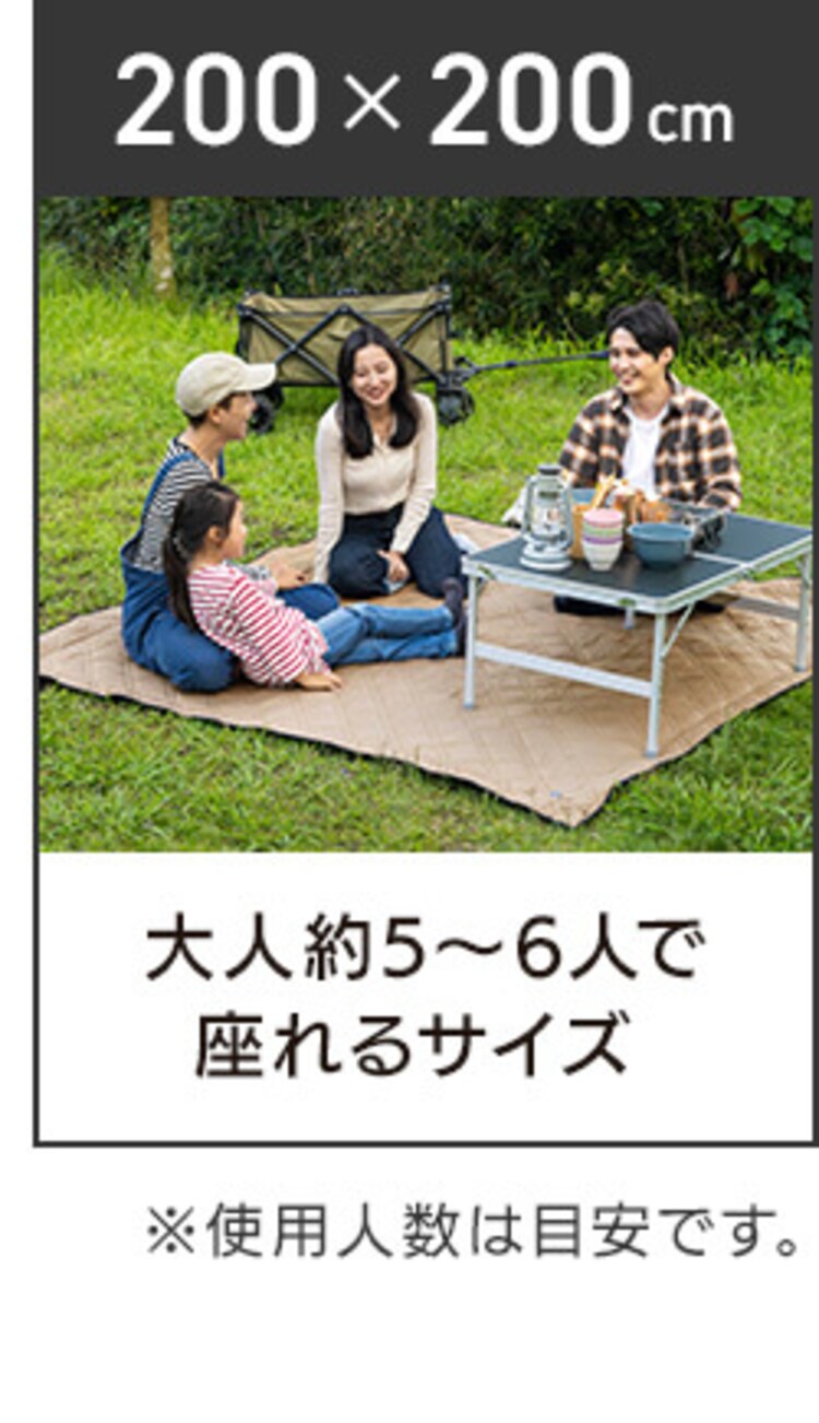極厚レジャーシート 150&times;200 ベージュ8