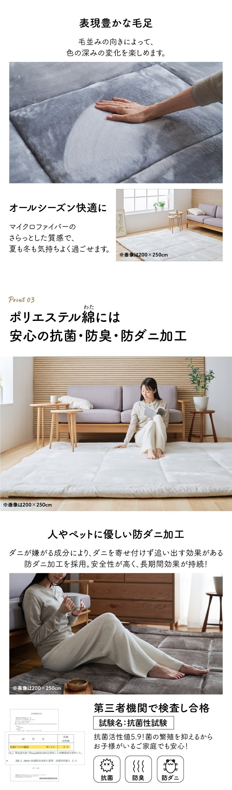 ラグ 超極厚ラグ 5層構造 極厚6cm 抗菌・防臭 防ダニ加工 130cm&times;185cm ベージュ4