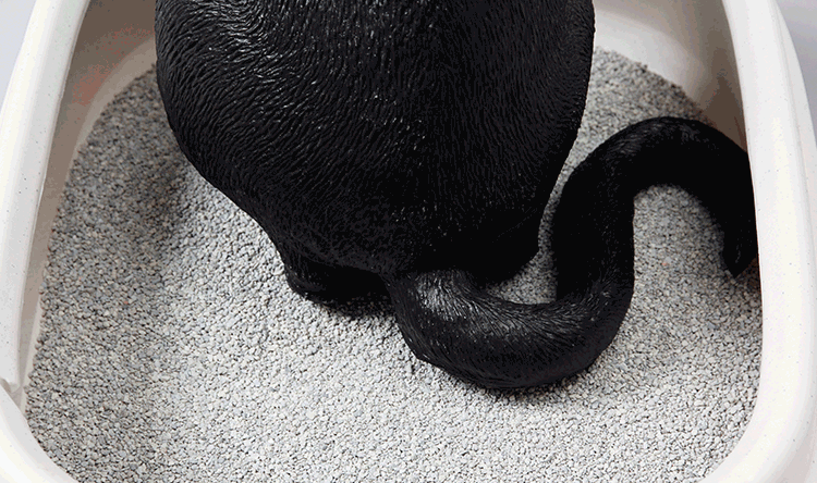 【2個セット】プレシャスキャット センティド 鉱物 猫砂(香り付き)2