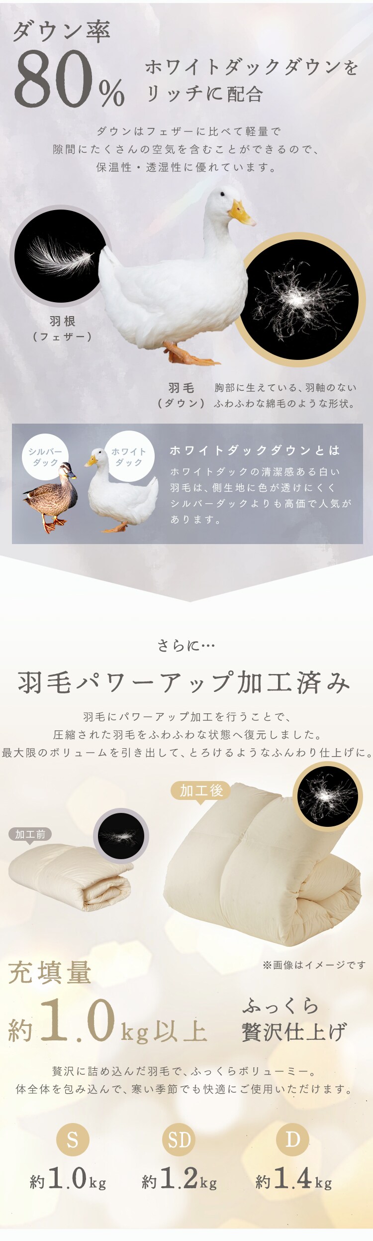 羽毛布団 WDD80％ シングルロング 全2色2