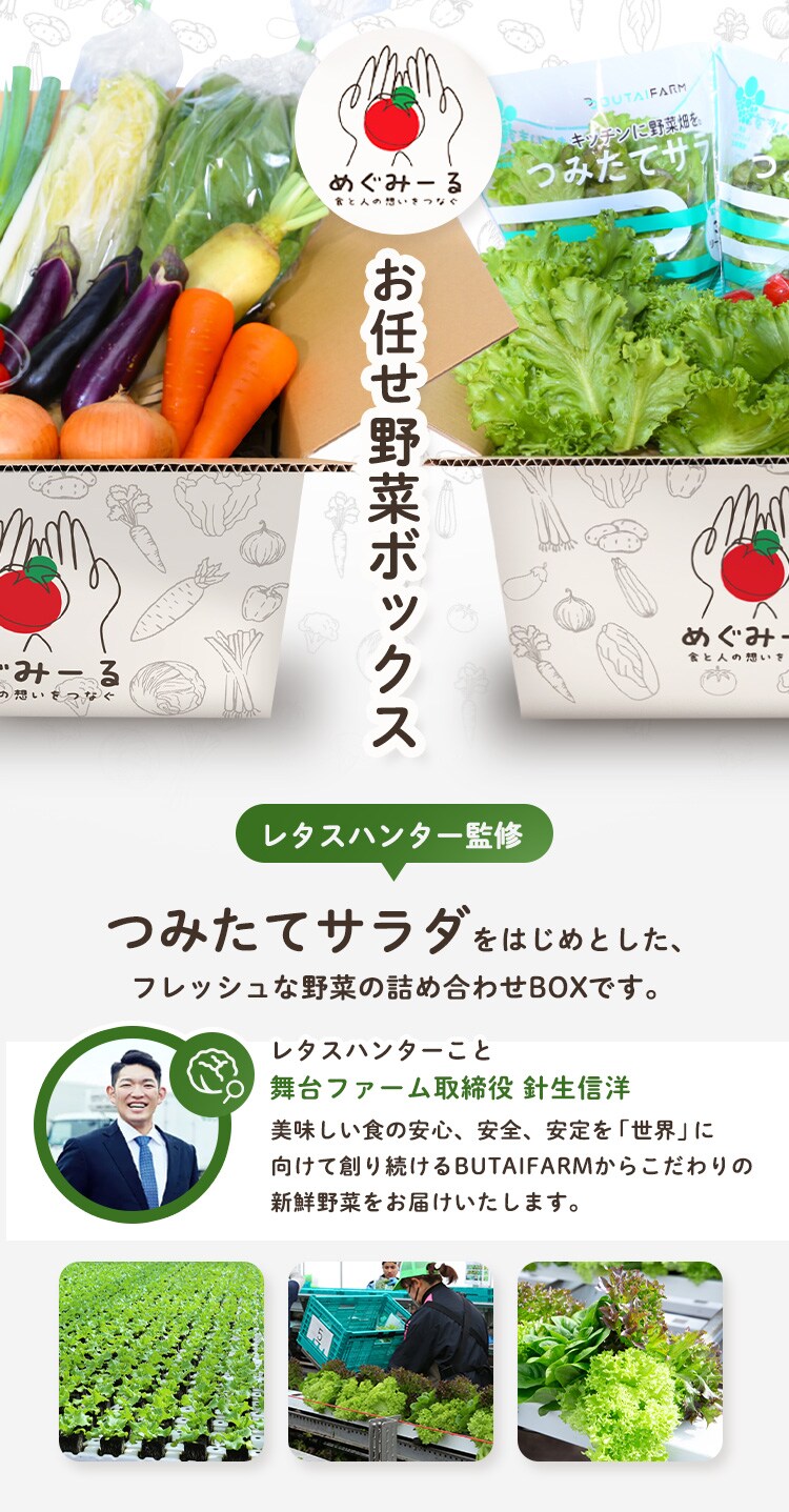 お任せ野菜ボックス リーフセット【時間指定不可】0